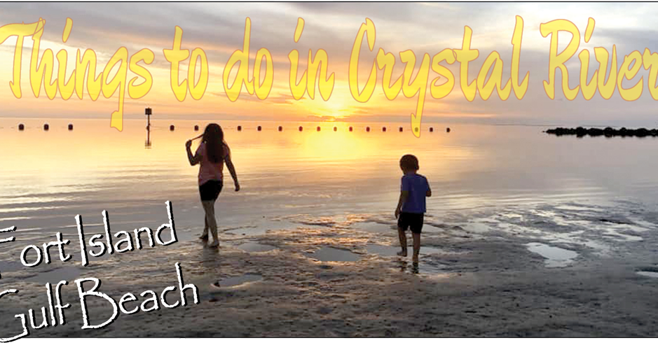 Things to do in Crystal River | Explore Citrus | chronicleonline.com