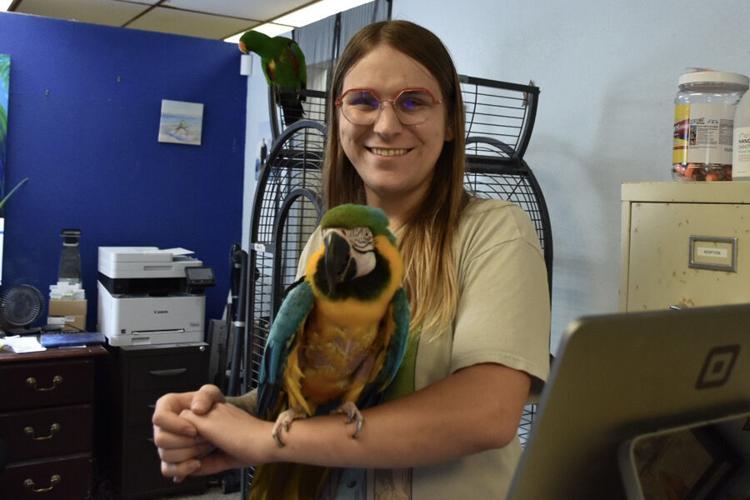 First Squawk Love at first squawk: The heartwarming story of Ziggy's Haven | Local ...