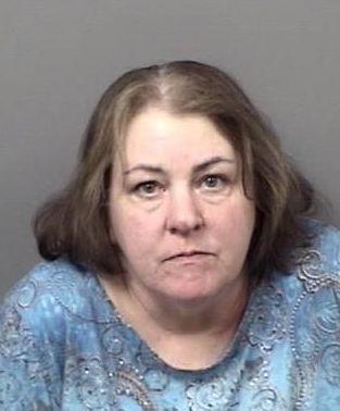 Lisa Ann Holovacko Mug Crime Courts Chronicleonline Com
