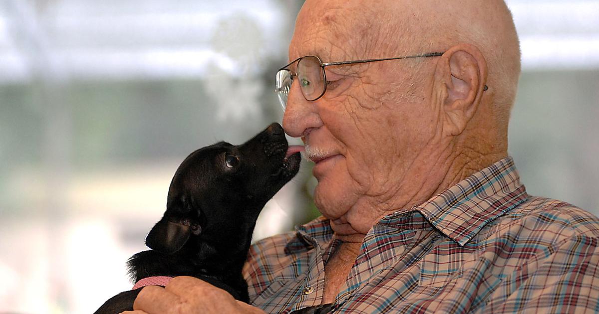 Good dog! Persistent pup senses owner’s diabetic distress | Local News ...