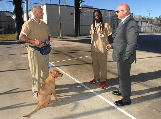 Pooches provide a purpose Local News
