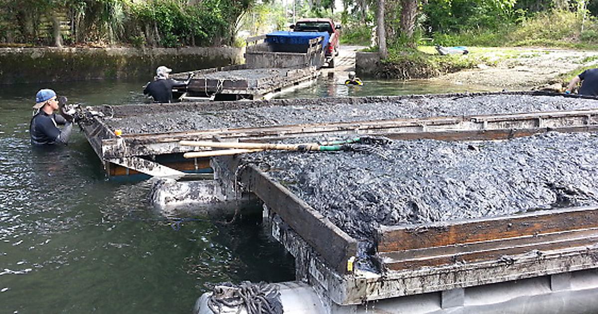 One Rake project puts grant money to good use | Local News ...