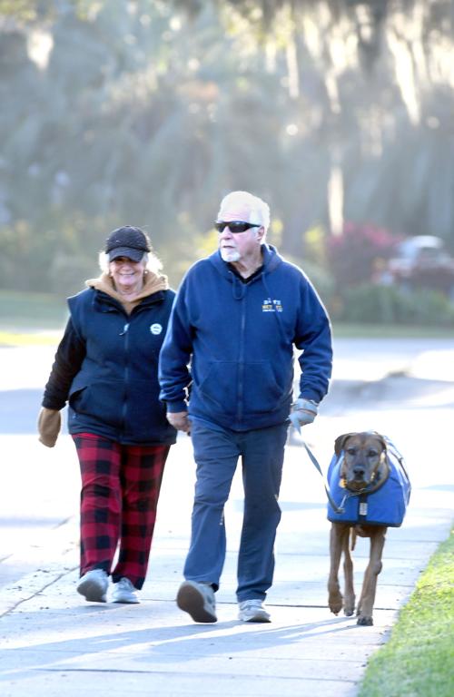 cold morning walk