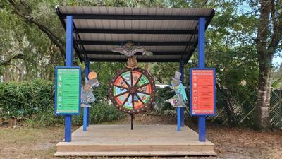 Florida's Sea Turtle license plates aid local turtle conservation