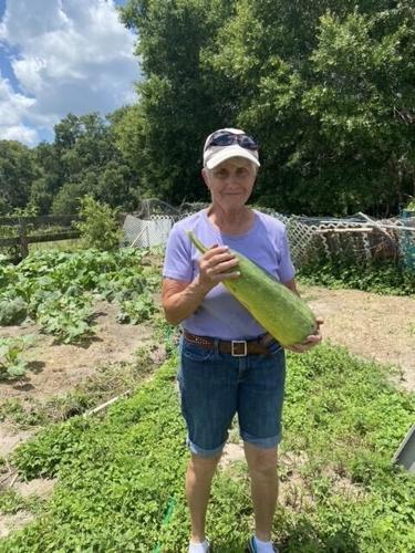 Dunnellon resident joins Marion Soil and Water Conservation | Riverland ...