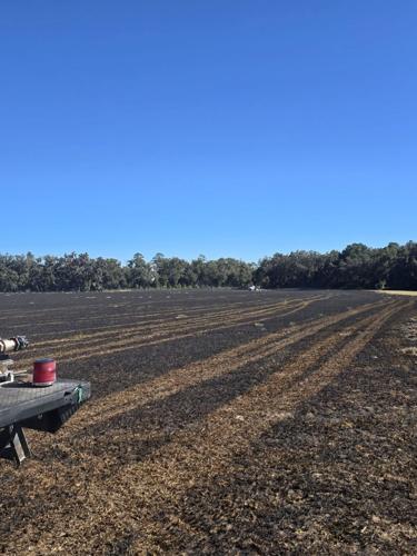 Multi-agency response stops 10-acre brush fire | Local News ...