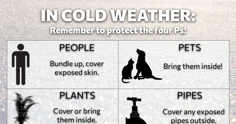 Arctic blast to plunge Citrus County temps into the 30s | Local News ...