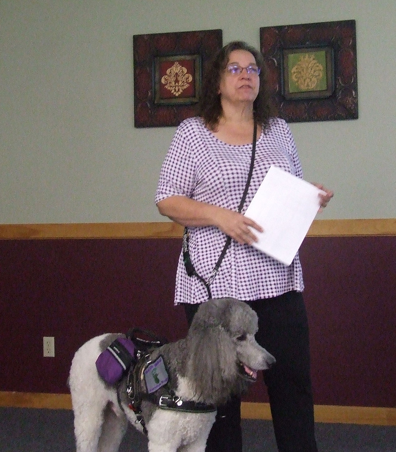 Standard poodle hot sale therapy dog