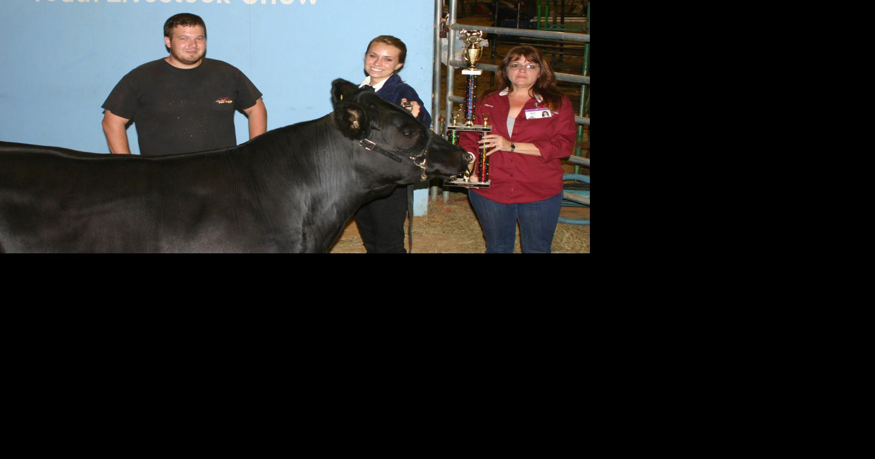 Steer, swine win at Citrus County Fair | Local News | chronicleonline.com