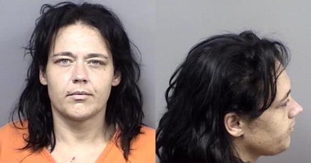 Citrus County mugshots from June 25 and 26 | Crime &amp; Courts ...