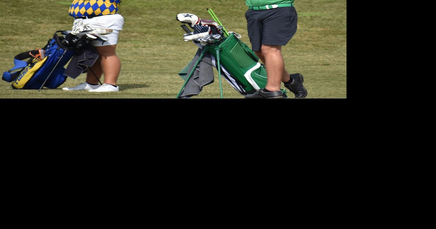 Panthers pair of Pirates advance Sports Citrus County Chronicle