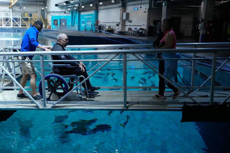 Veterans Immersion Program Injured veterans swim with whale shark for healing experience ...