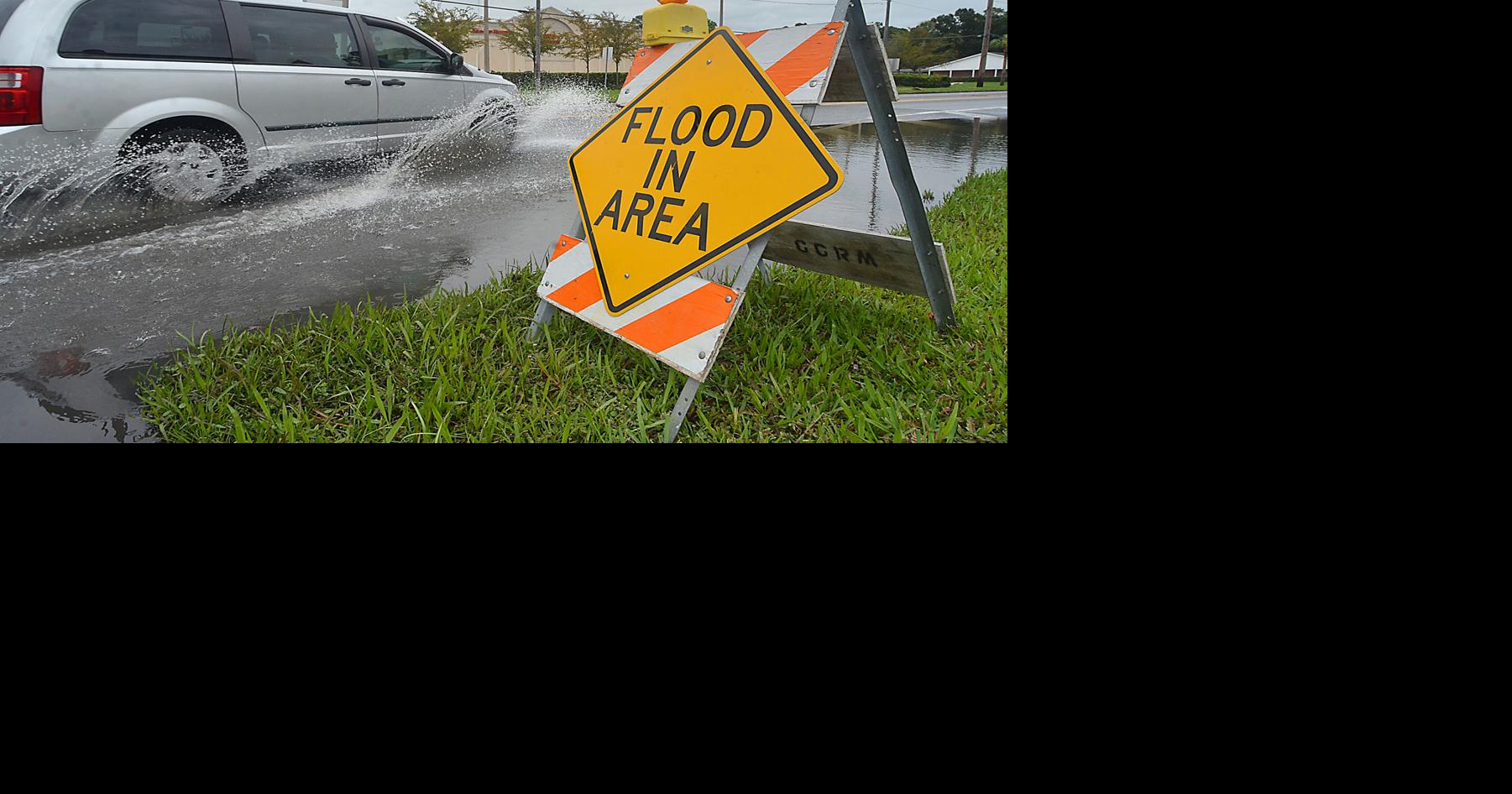 Fear not: Florida sunshine right around the corner | Local News ...