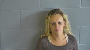 Couple arrested after early morning pursuit; passenger wanted on ...