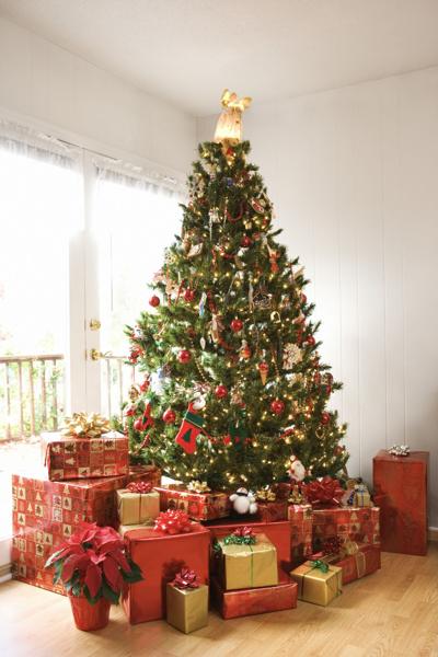 Brooksville Christmas Tree Lighting 2021