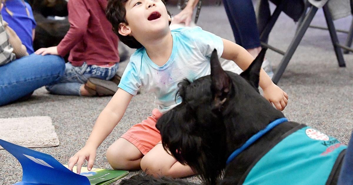 Next ‘PAWS to Read!’ Aug. 1 at Central Ridge Library | Local News ...