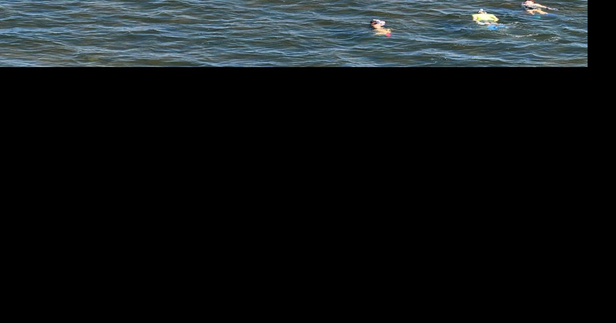 Scallop Season fast approaching