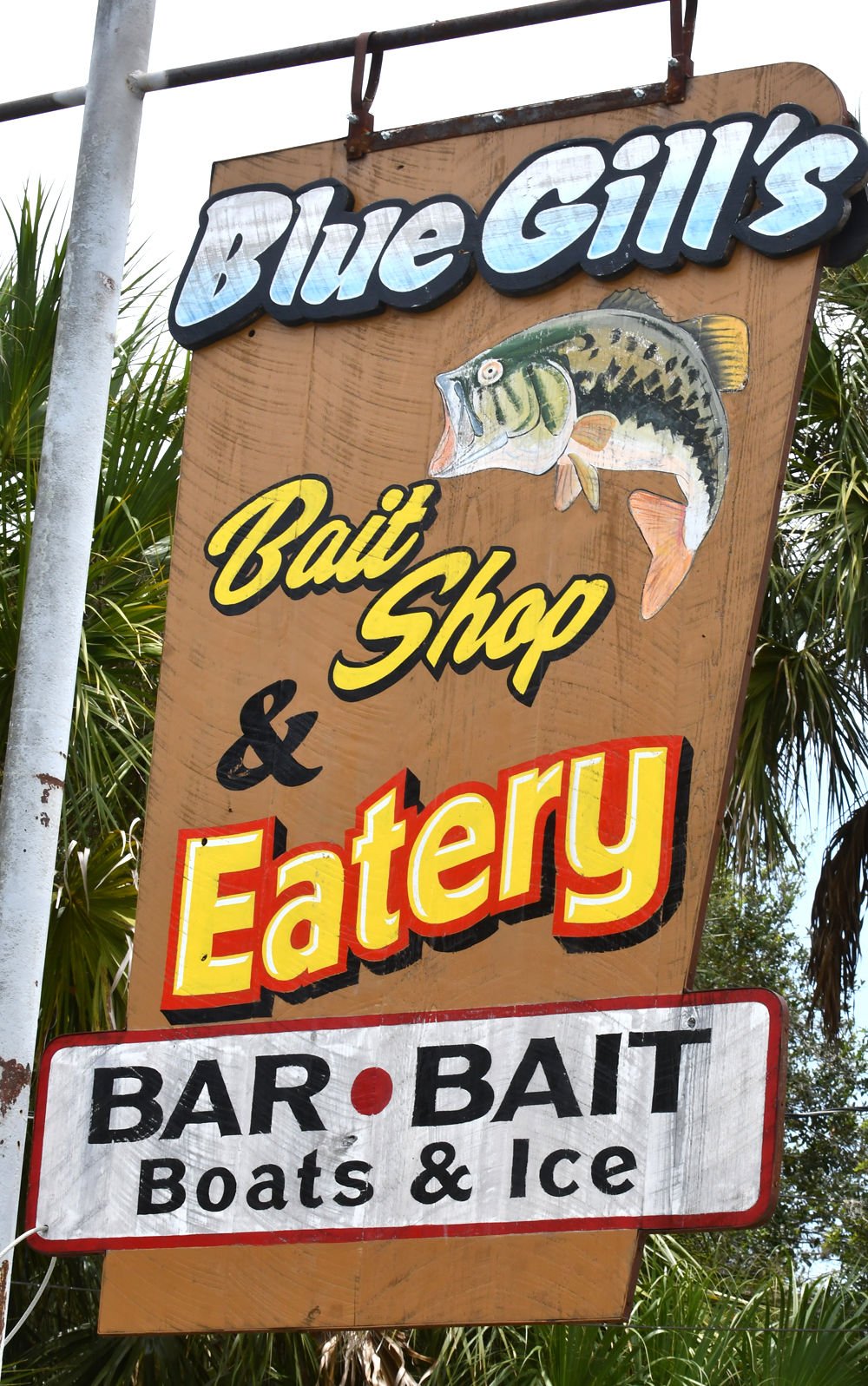 bluegill bait shop off 55% 