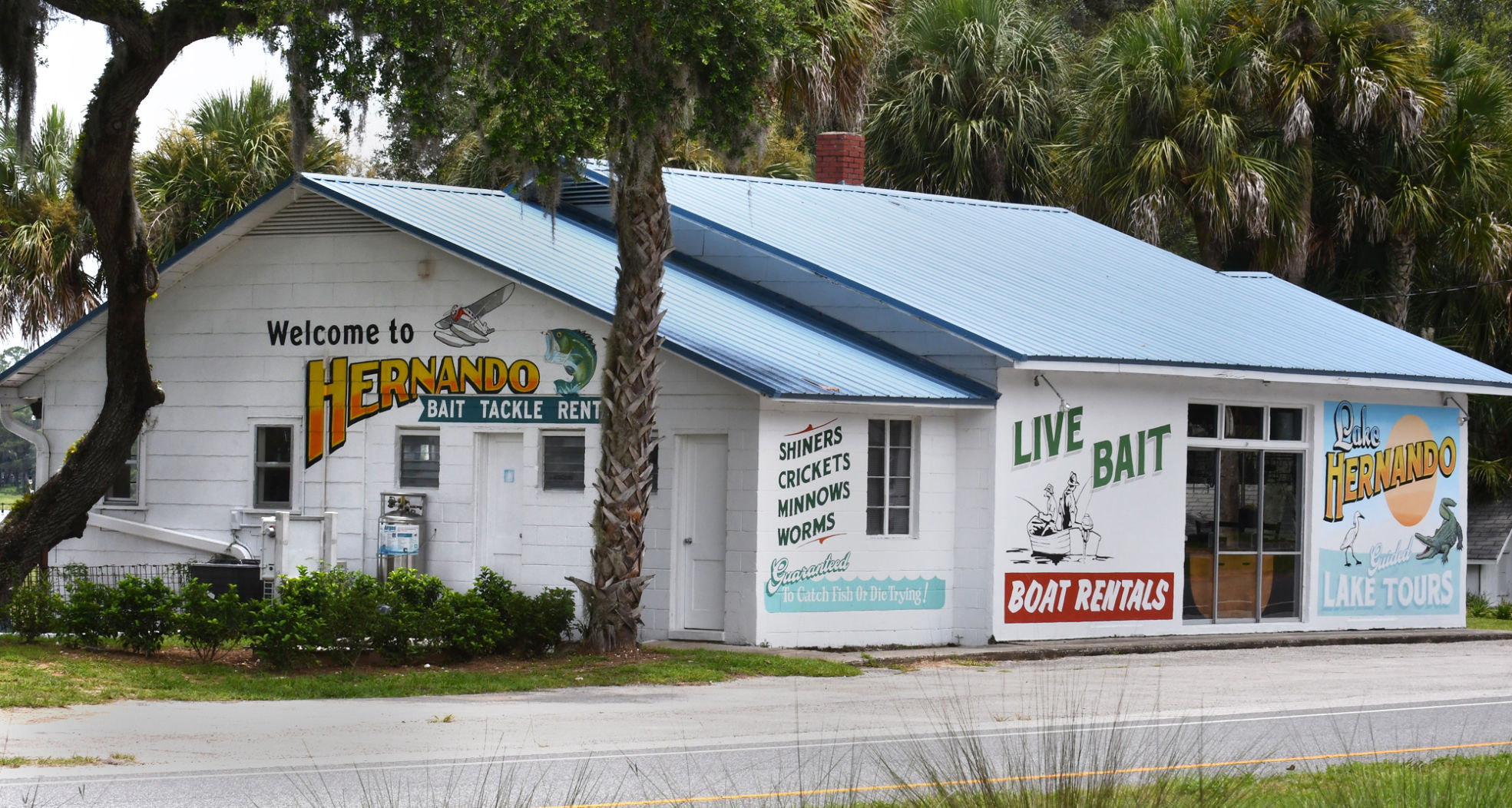 woody's bait shop