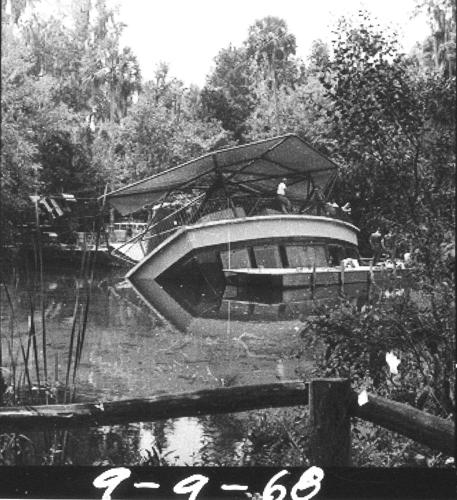 Fish Boal Train Iconic ‘fish bowl’ at wildlife park undergoing improvements | Local ...