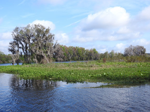 FWC, SWFWMD to hold public meeting about Hurricane Irma's impacts to ...