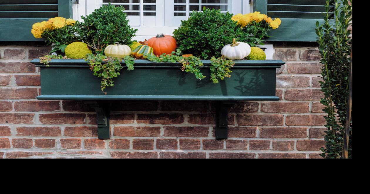 Living Space: Create beautiful fall window boxes | Lifestyle ...