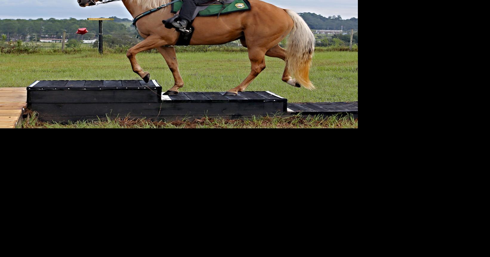Riders train for mounted challenges | Local News | chronicleonline.com