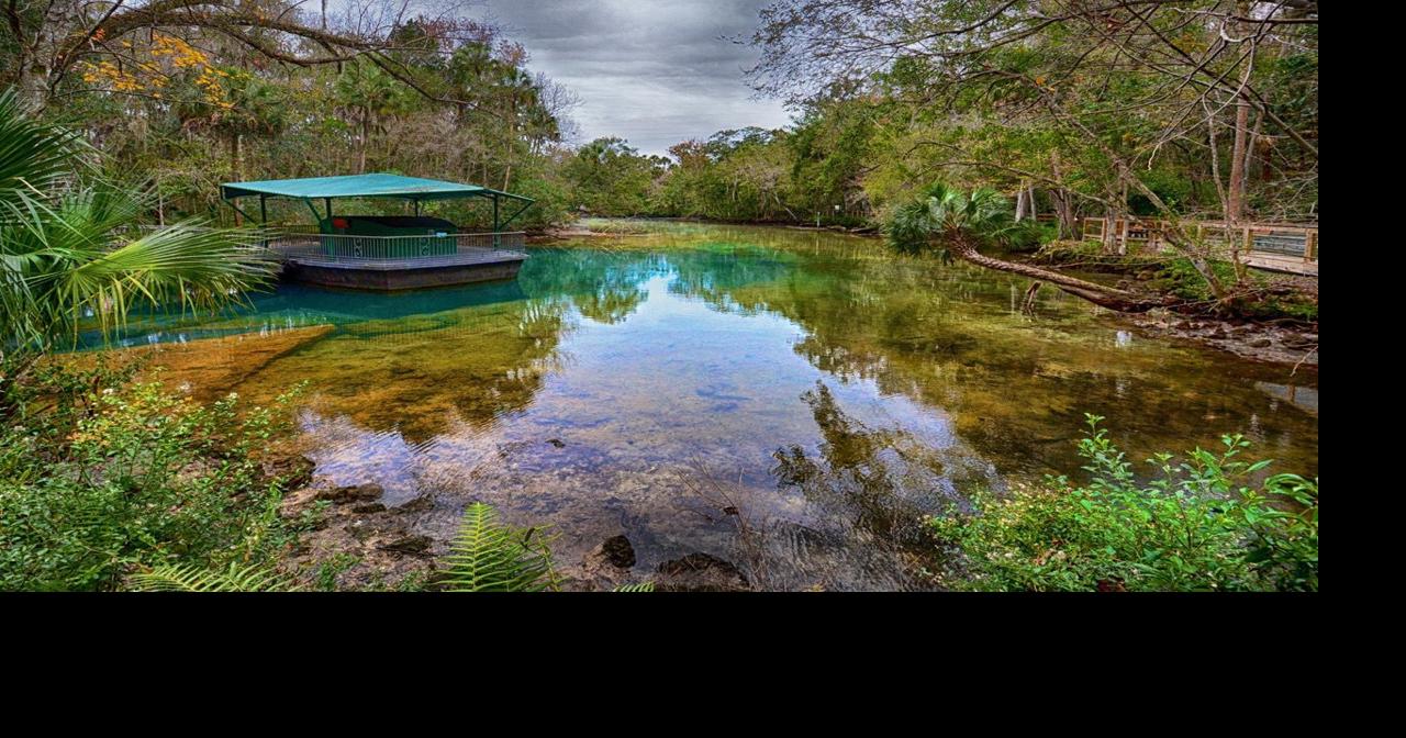 Friends of Homosassa Springs Wildlife Park receives 5000 grant Local