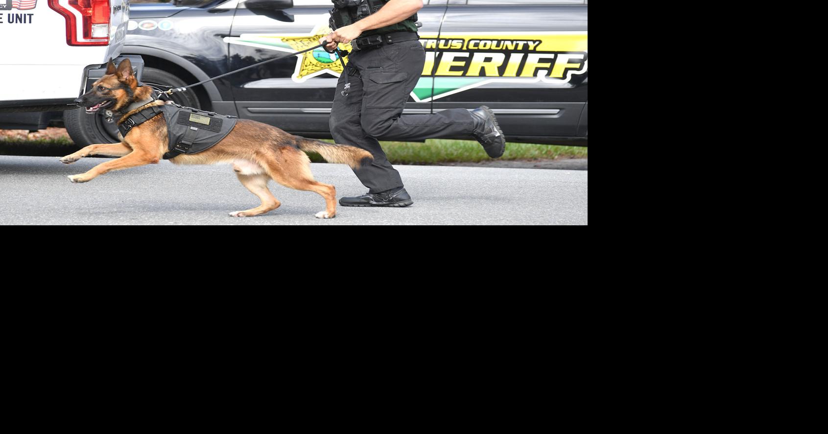Standoff with armed, wanted Floral City man ends with his arrest; none ...