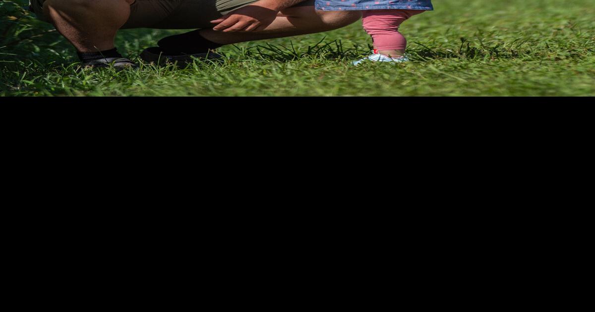 Cannon Farms openCannon Farms opens to public for fall Local News