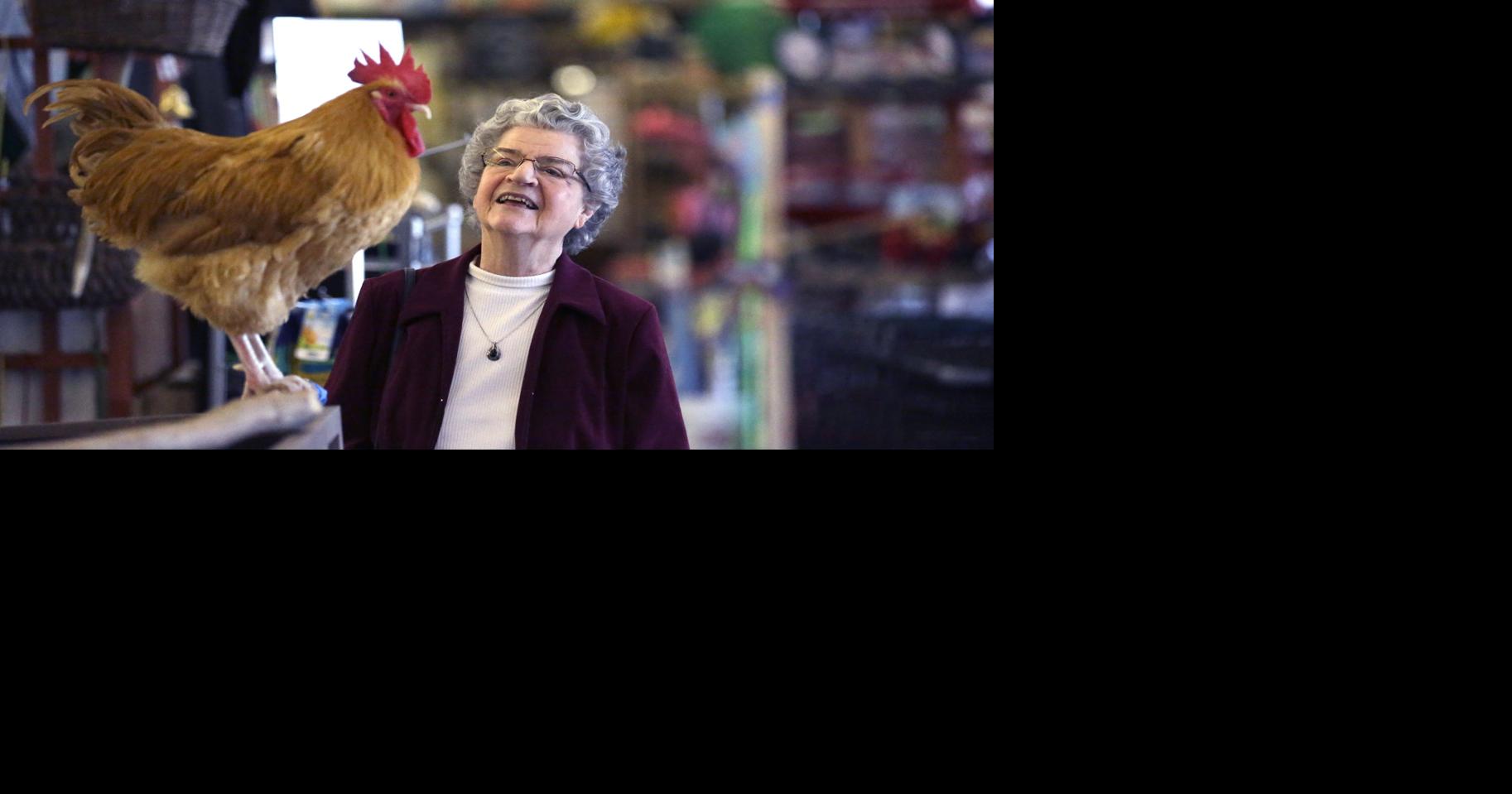 Rooster at Dallas hardware store popular News