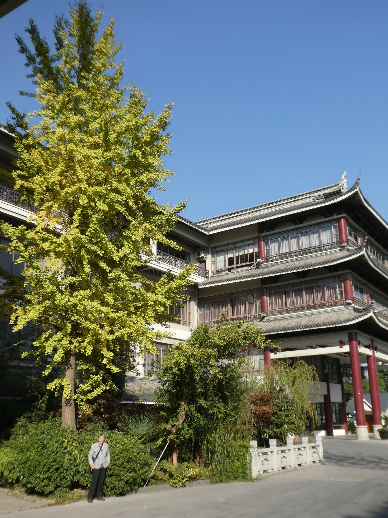 fossil express avenue