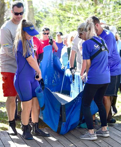 Five manatees released into the wild | Local News | chronicleonline.com