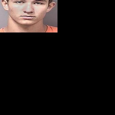 After three months, arrest made in Pine Ridge vandalism | Local News ...