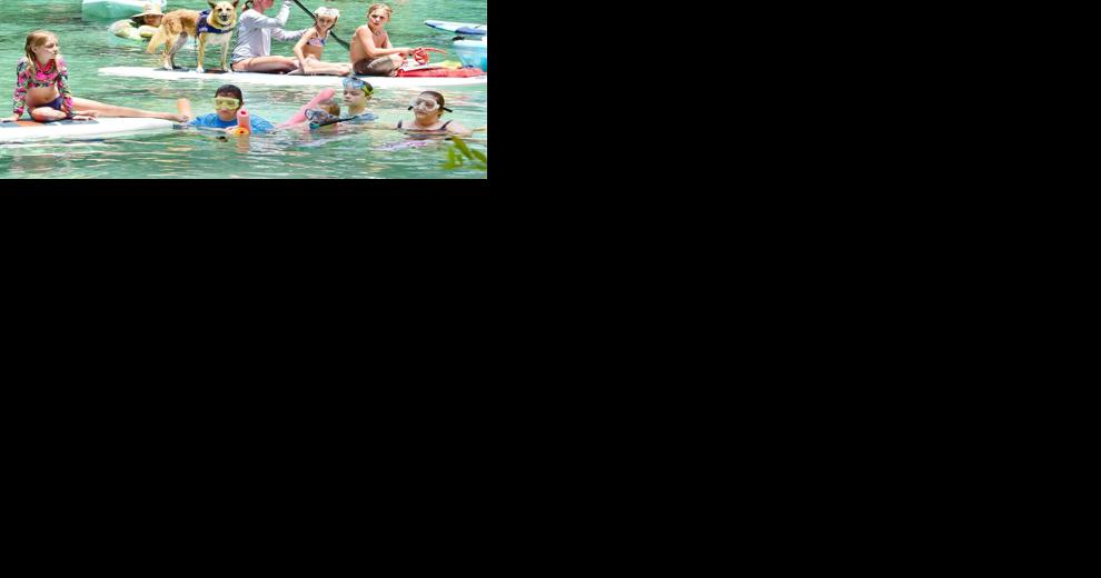 Holly Davis objects to tourism 'shutdown' - Vimarsana News