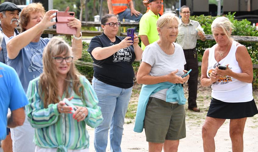 Manatees returned to the wild | Local News | chronicleonline.com