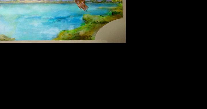 Alligators, eagles and the Rainbow River - Vimarsana News