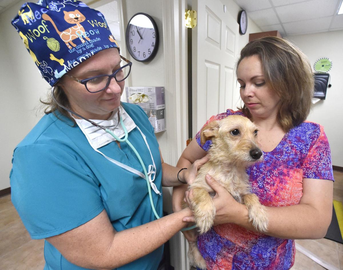 New low-cost vet clinic opens in Inverness | Local News |  