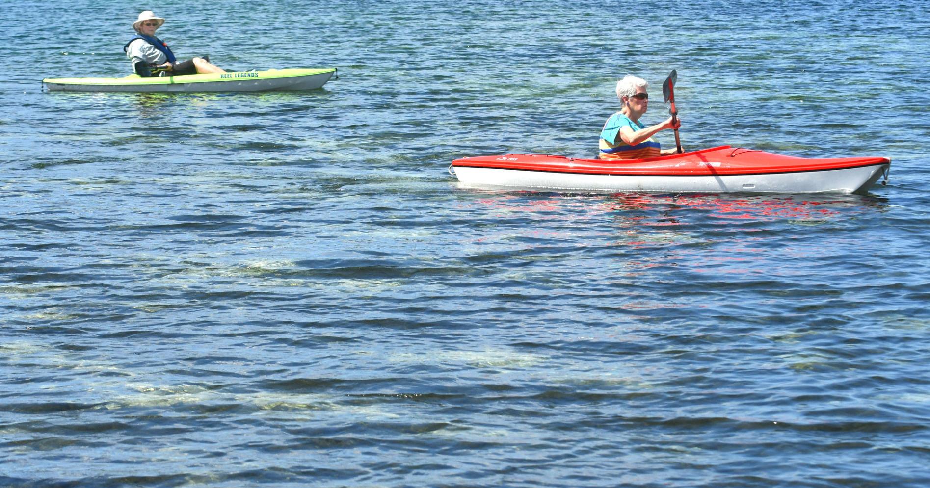 The changing face of retirees - Vimarsana News