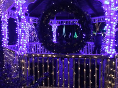 Homosassa Springs Festival Of Lights 2022
