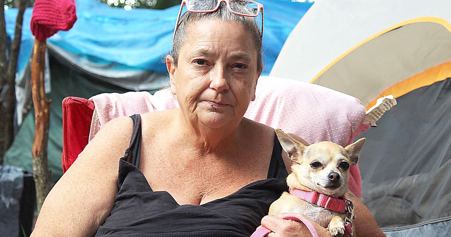 Massullo suports homeless bill - Vimarsana News