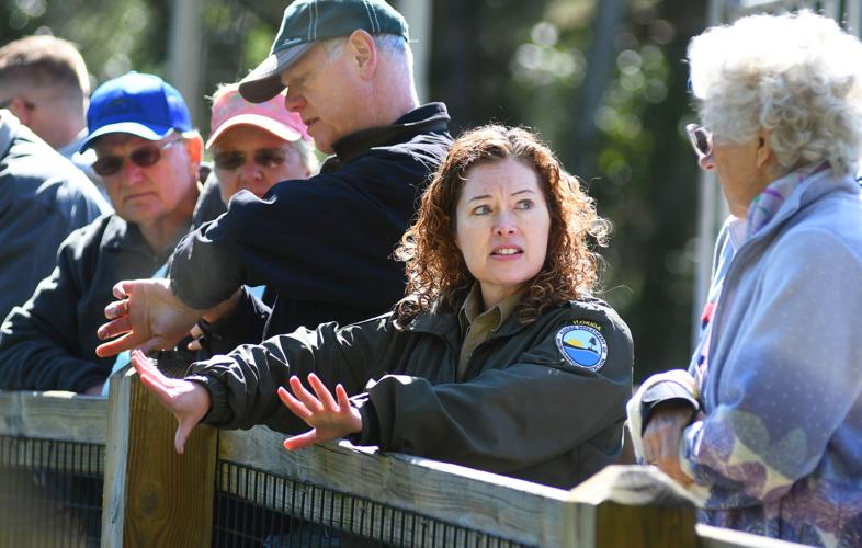 Native Homosassan now directs wildlife park | Local News ...