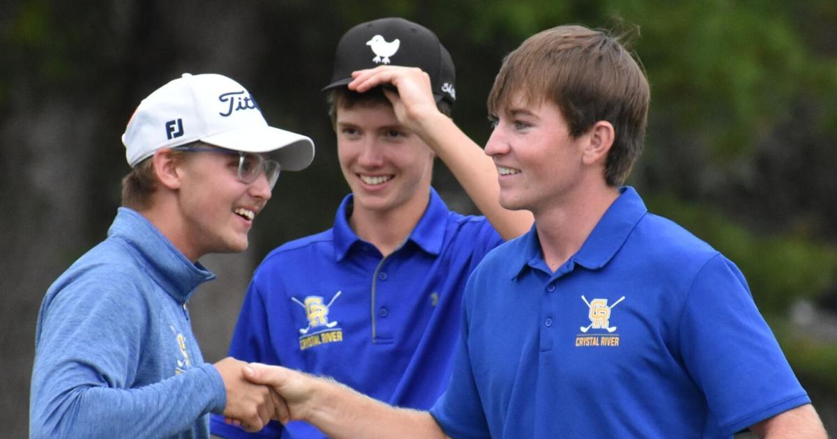 Title Order Guide DeForest, Pirates earn district golf titles | Local Sports ...