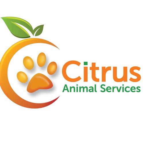 Homosassa women arrested for animal cruelty; 84 animals seized ...