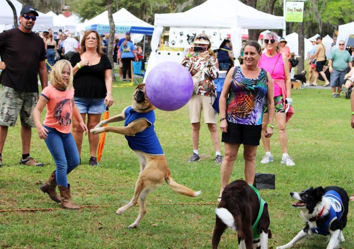 37th Floral City Strawberry Festival this weekend, March 23 Local