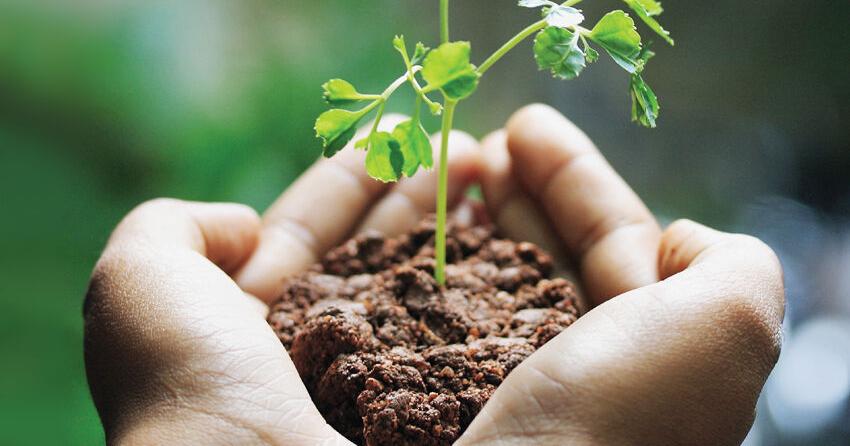 Try a little swapping at Central Ridge Library | Lifestyle ...