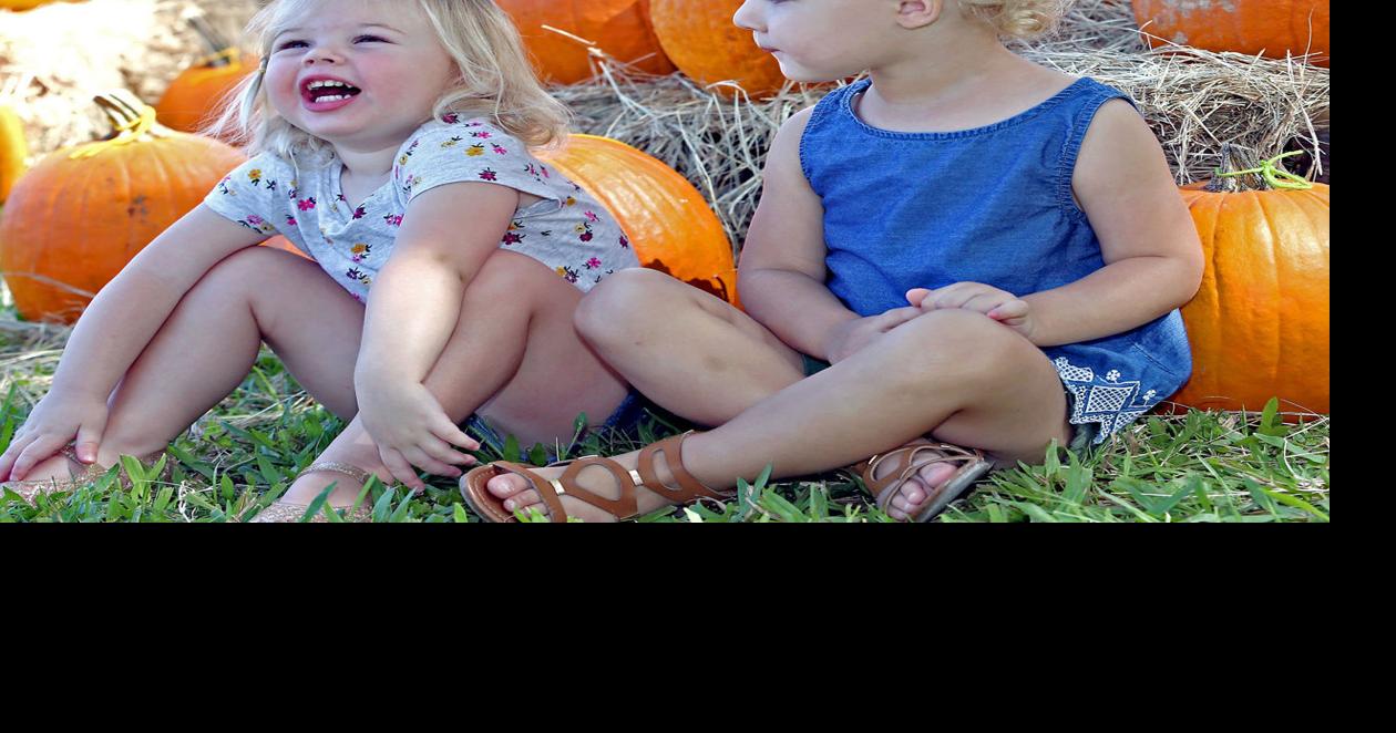 Scarecrow Festival returns to Crystal River Entertainment in Citrus