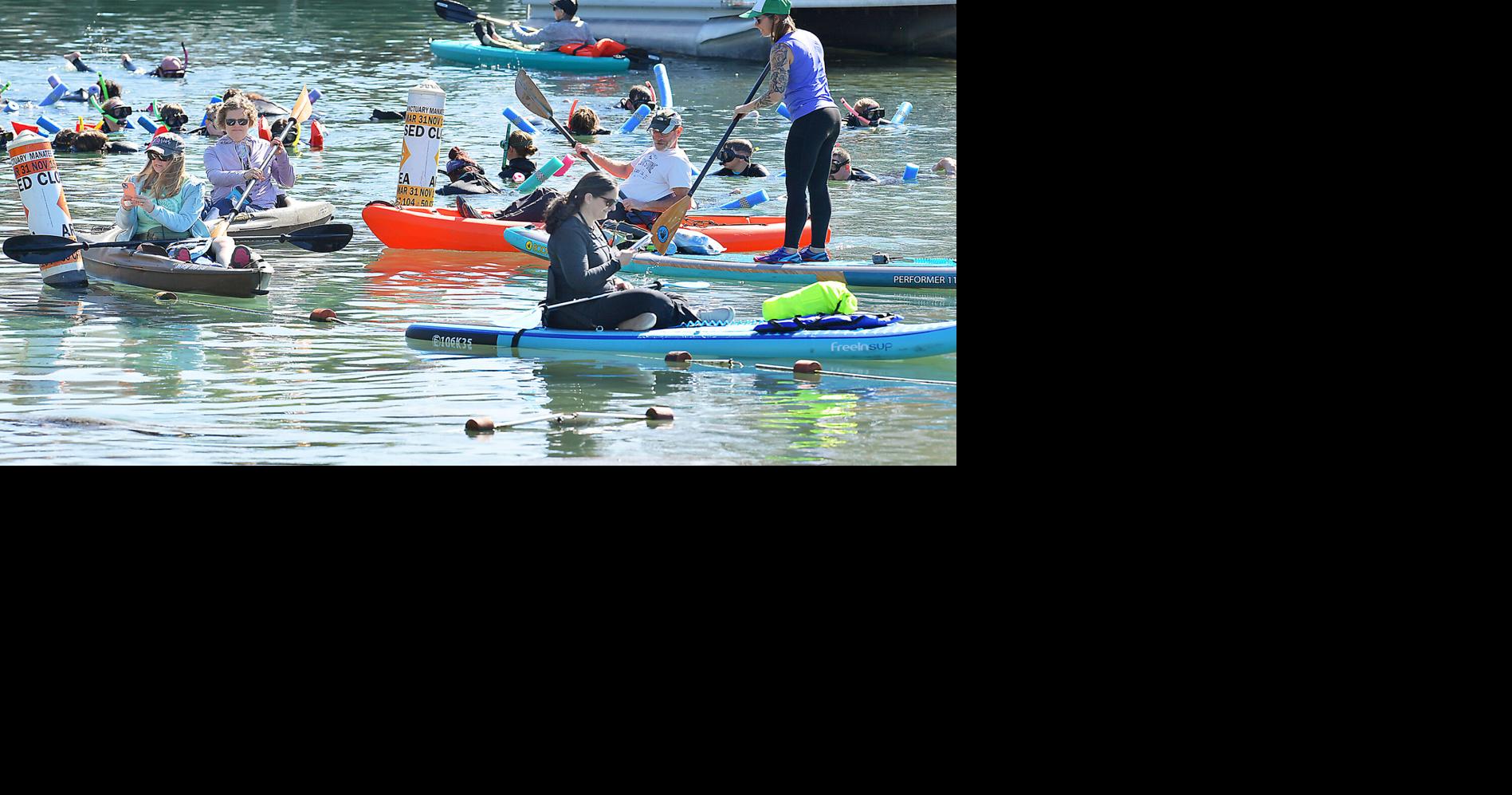 Crystal River targets commercial activity on Kings Bay