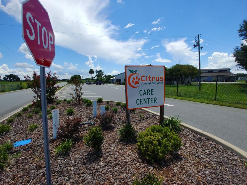 Board To Look Again At Moving Shelter To Lecanto Local News Chronicleonline Com