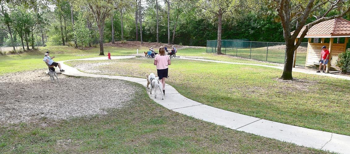 Terra Vista homeowners oppose proposed pickleball courts Local News